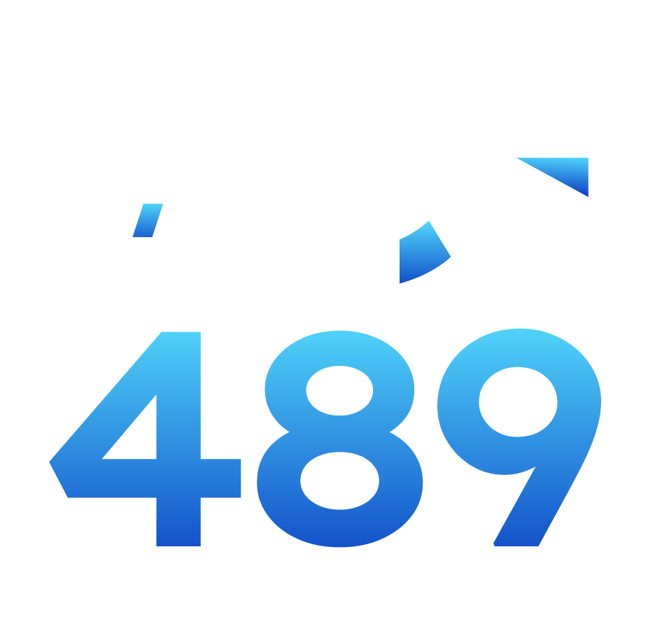 ACE489 Logo
